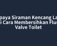 Supaya Siraman Kencang Lagi, Ini Cara Membersihkan Flush Valve Toilet