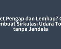 Toilet Pengap dan Lembap? Cara Membuat Sirkulasi Udara Toilet tanpa Jendela