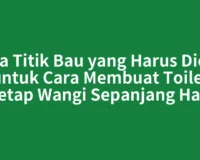 Tiga Titik Bau yang Harus Dicek untuk Cara Membuat Toilet Tetap Wangi Sepanjang Hari