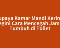 Supaya Kamar Mandi Kering, Begini Cara Mencegah Jamur Tumbuh di Toilet