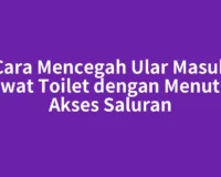 Cara Mencegah Ular Masuk Lewat Toilet dengan Menutup Akses Saluran