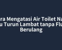 Cara Mengatasi Air Toilet Naik lalu Turun Lambat tanpa Flush Berulang