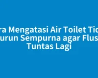 Cara Mengatasi Air Toilet Tidak Turun Sempurna agar Flush Tuntas Lagi