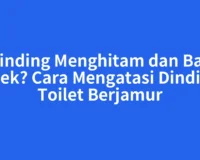 Dinding Menghitam dan Bau Apek? Cara Mengatasi Dinding Toilet Berjamur