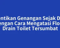 Hentikan Genangan Sejak Dini dengan Cara Mengatasi Floor Drain Toilet Tersumbat