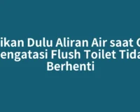 Matikan Dulu Aliran Air saat Cara Mengatasi Flush Toilet Tidak Berhenti