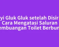 Bunyi Gluk Gluk setelah Disiram? Cara Mengatasi Saluran Pembuangan Toilet Berbunyi