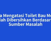 Cara Mengatasi Toilet Bau Meski Sudah Dibersihkan Berdasarkan Sumber Masalah