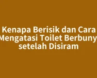 Kenapa Berisik dan Cara Mengatasi Toilet Berbunyi setelah Disiram