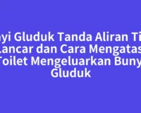 Bunyi Gluduk Tanda Aliran Tidak Lancar dan Cara Mengatasi Toilet Mengeluarkan Bunyi Gluduk