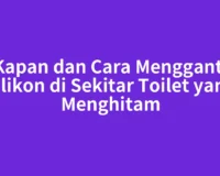 Kapan dan Cara Mengganti Silikon di Sekitar Toilet yang Menghitam