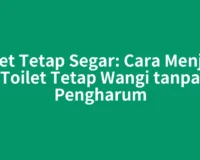 Toilet Tetap Segar: Cara Menjaga Toilet Tetap Wangi tanpa Pengharum
