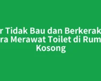 Agar Tidak Bau dan Berkerak, Ini Cara Merawat Toilet di Rumah Kosong