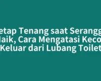 Tetap Tenang saat Serangga Naik, Cara Mengatasi Kecoa Keluar dari Lubang Toilet