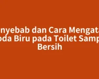 Penyebab dan Cara Mengatasi Noda Biru pada Toilet Sampai Bersih