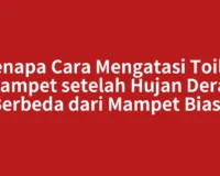 Kenapa Cara Mengatasi Toilet Mampet setelah Hujan Deras Berbeda dari Mampet Biasa